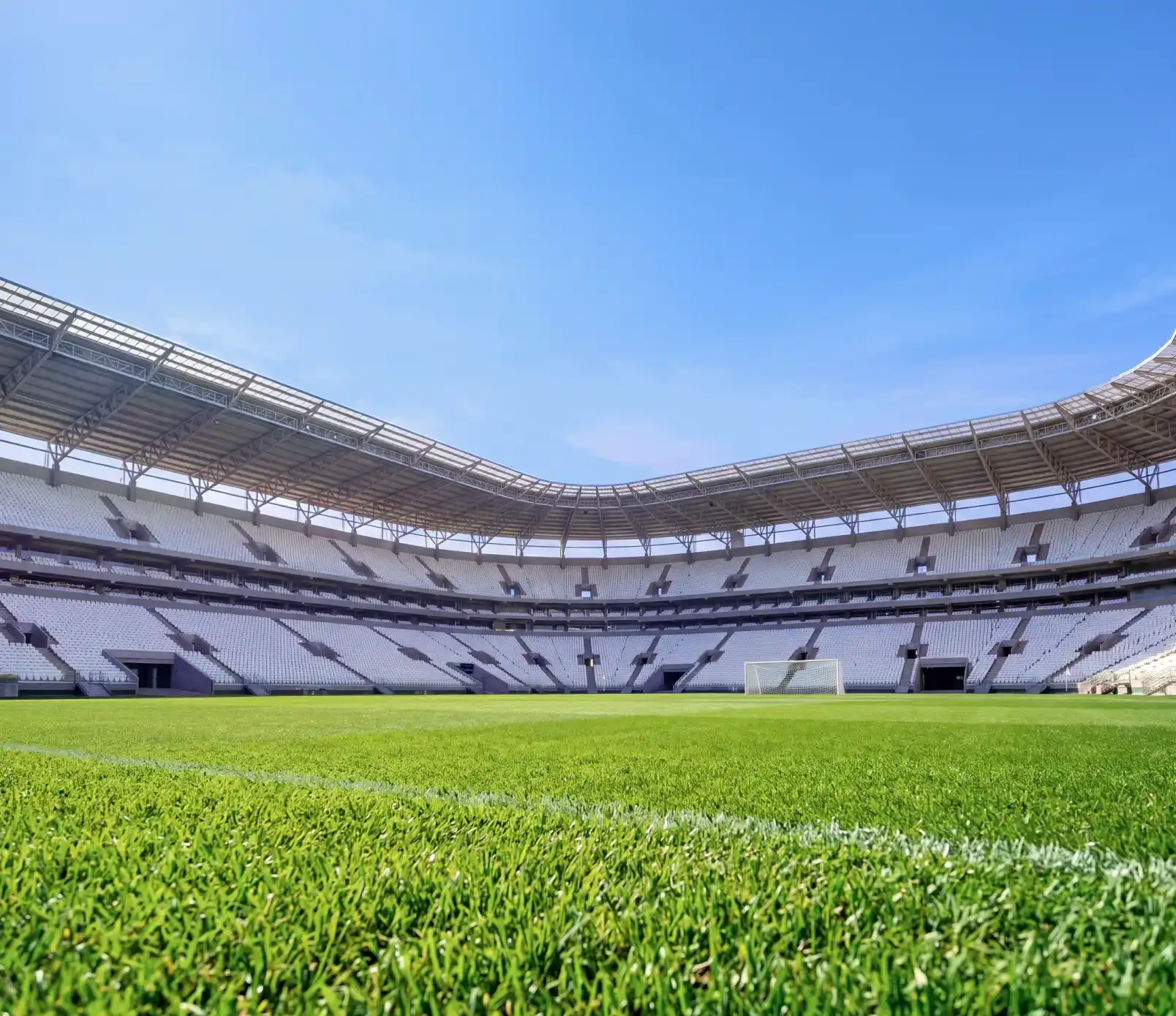 Estádio com gramado natural